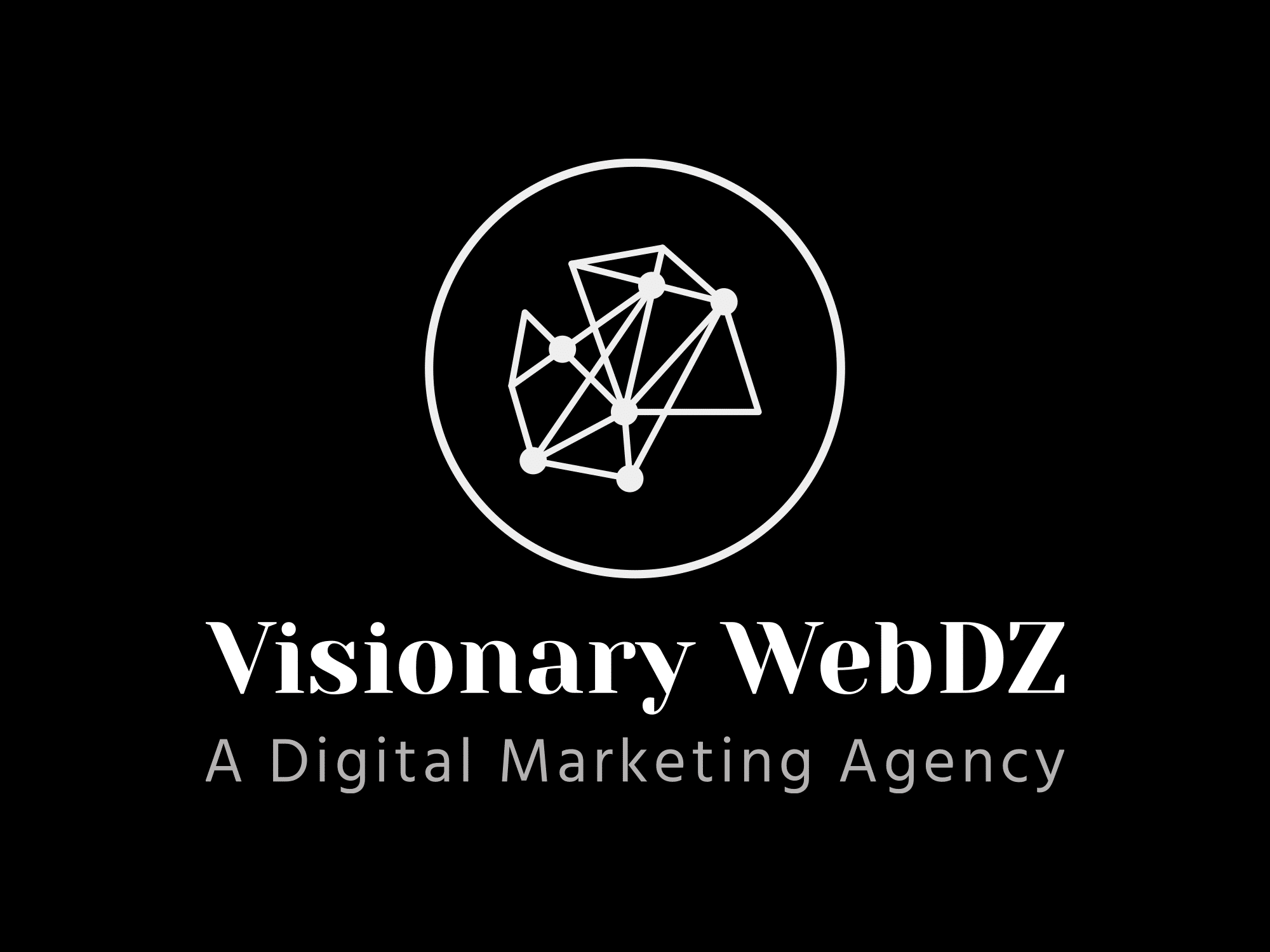 Visionary WebDZ A Digital Marketing Company